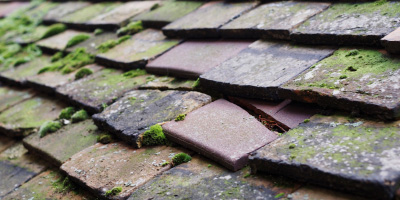 Whittington roof repair costs